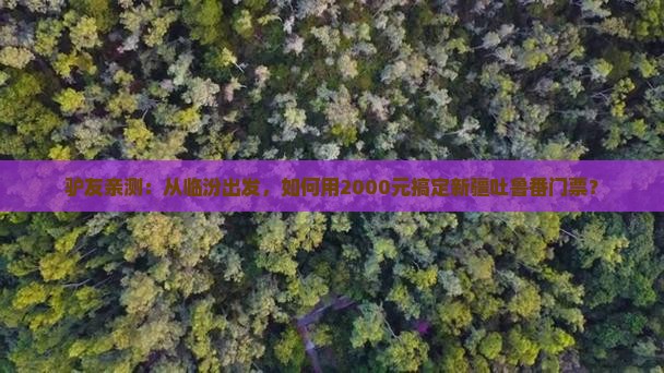 临汾到新疆吐鲁番门票