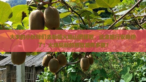 大丰去新疆火焰山团体旅游