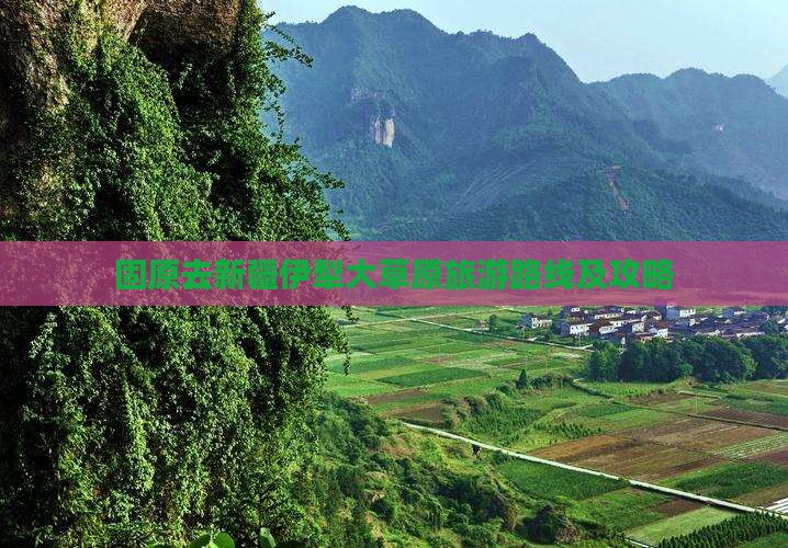 固原去新疆伊犁大草原旅游