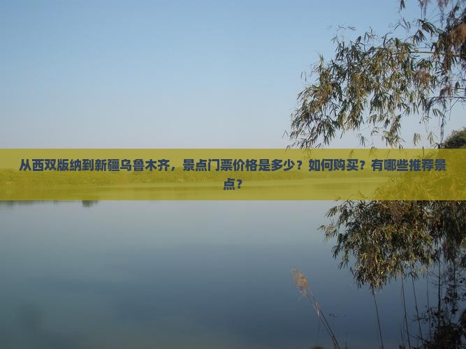 西双版纳到新疆乌鲁木齐门票
