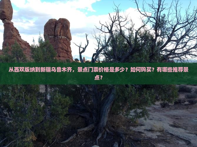 西双版纳到新疆乌鲁木齐门票