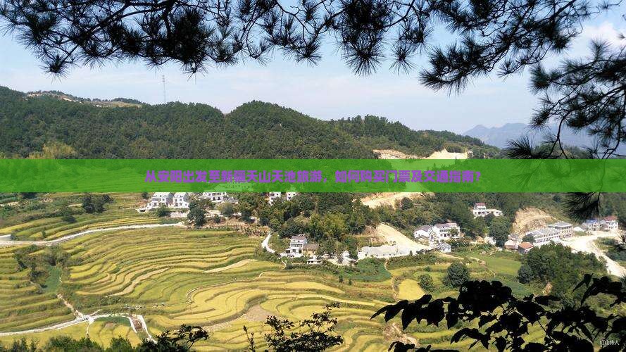 安阳去新疆天山天池门票