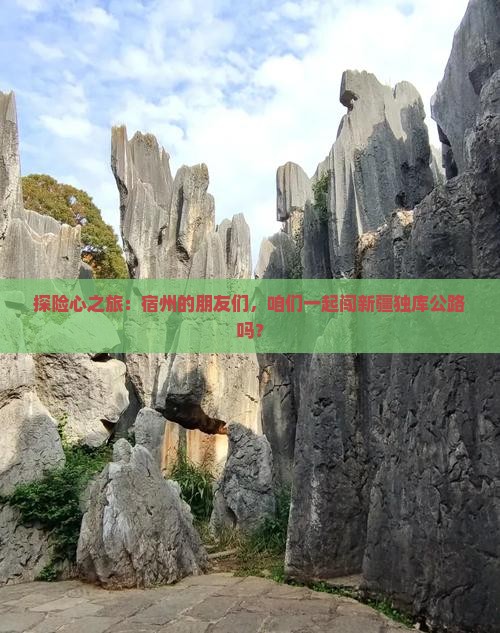 宿州去新疆独库公路大型旅游团