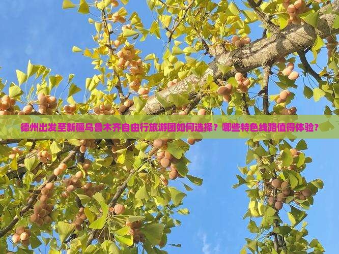 德州去新疆乌鲁木齐自由团 德州去新疆乌鲁木齐自由团