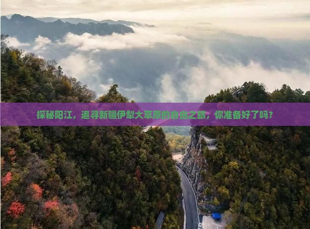 阳江到新疆伊犁大草原自由团
