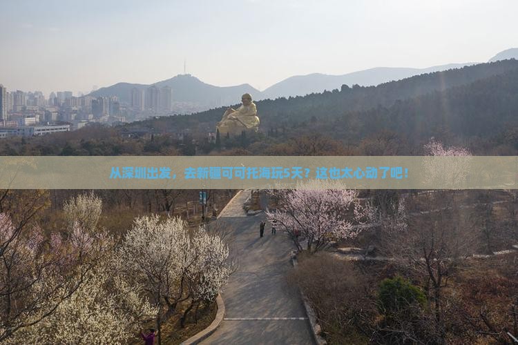 深圳去新疆可可托海五日游