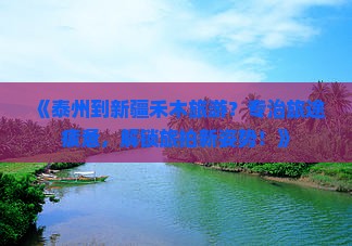 泰州到新疆禾木旅游