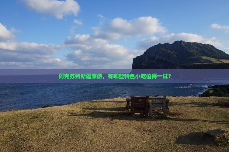阿克苏到新疆旅游小吃