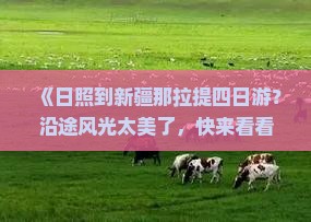 日照到新疆那拉提四日游
