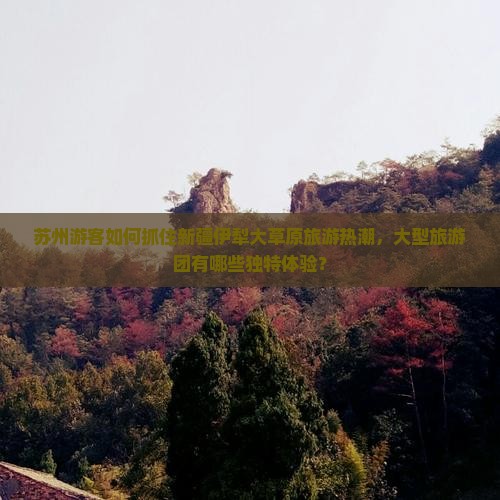 苏州到新疆伊犁大草原大型旅游团