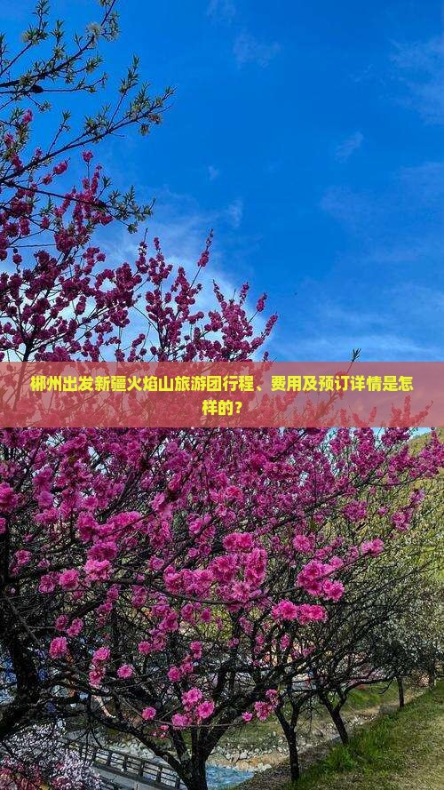 郴州到新疆火焰山大型旅游团