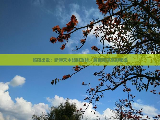 临猗到新疆禾木团体旅游