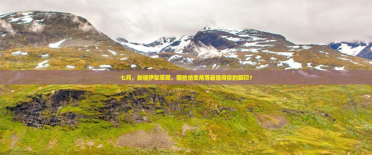 七月到新疆伊犁大草原必去地