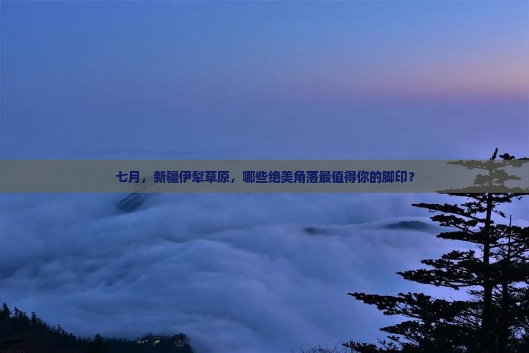 七月到新疆伊犁大草原必去地