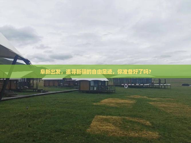阜新到新疆自由团