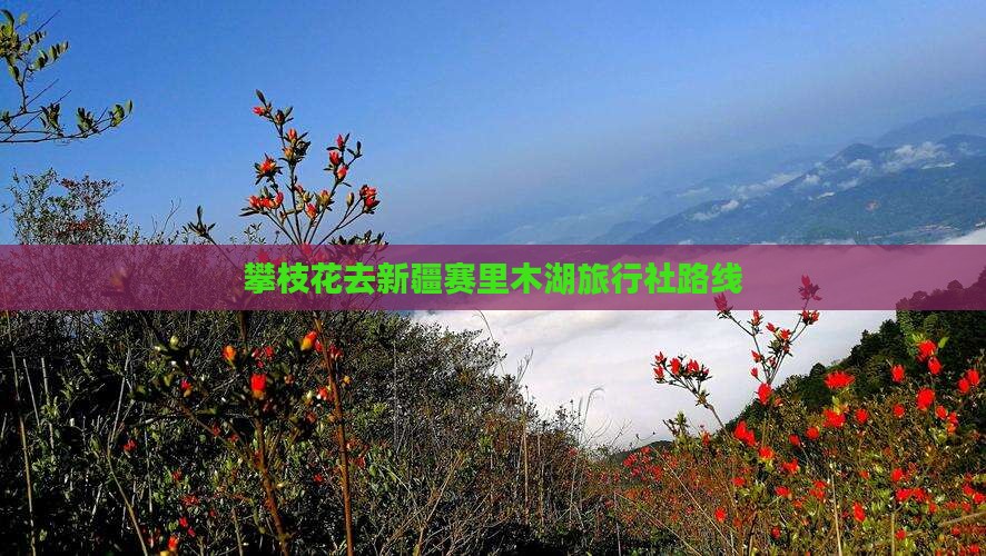 攀枝花去新疆赛里木湖旅行社