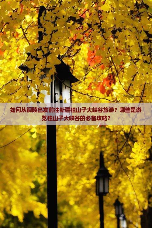 铜陵去新疆独山子大峡谷旅游