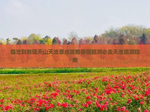 临沧到新疆天山天池攻略