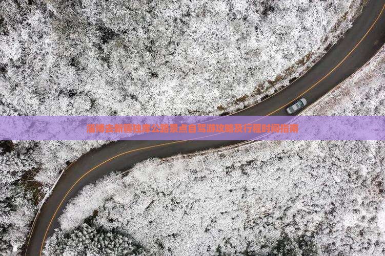 淄博去新疆独库公路景点