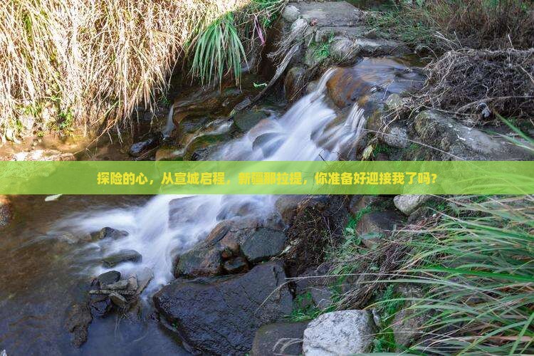 宣城到新疆那拉提旅行社