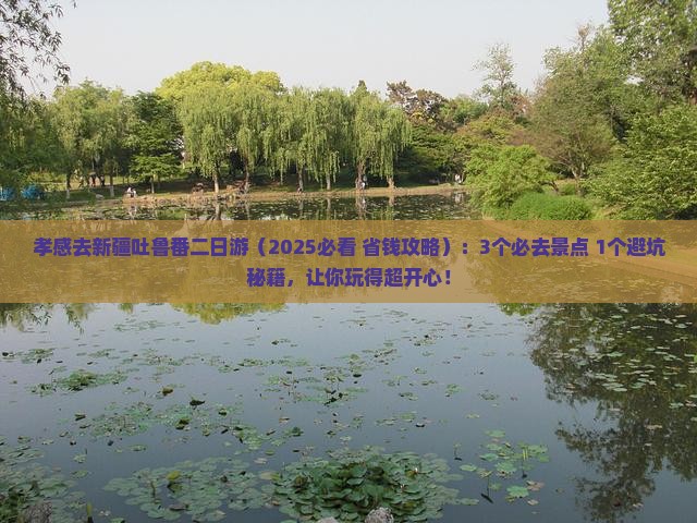 孝感去新疆吐鲁番二日游