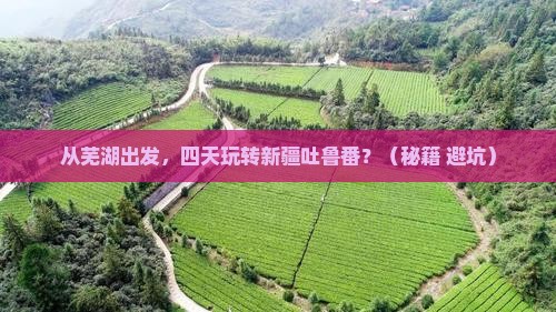 芜湖去新疆吐鲁番四日游