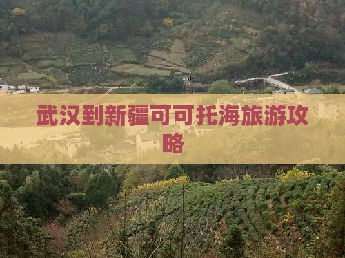 武汉到新疆可可托海门票