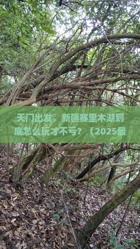 天门去新疆赛里木湖哪里玩