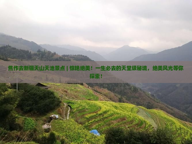 焦作去新疆天山天池景点