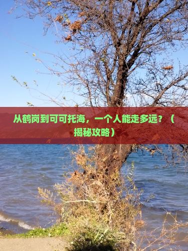 鹤岗去新疆可可托海个人游