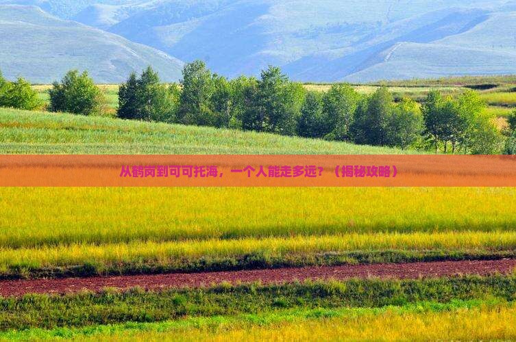 鹤岗去新疆可可托海个人游