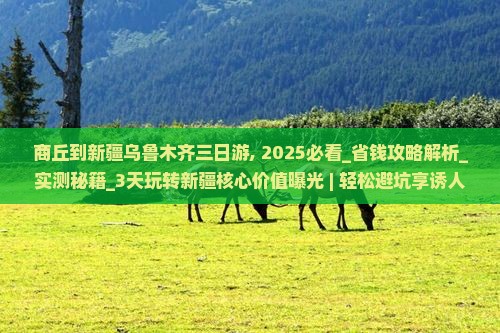 商丘到新疆乌鲁木齐三日游