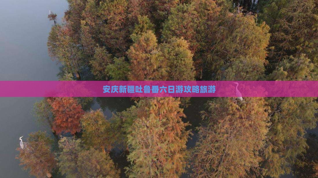 安庆去新疆吐鲁番六日游