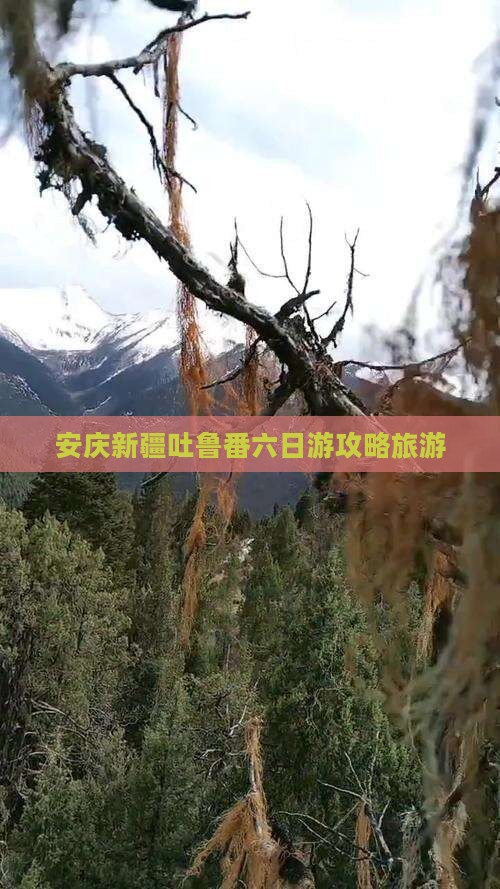 安庆去新疆吐鲁番六日游