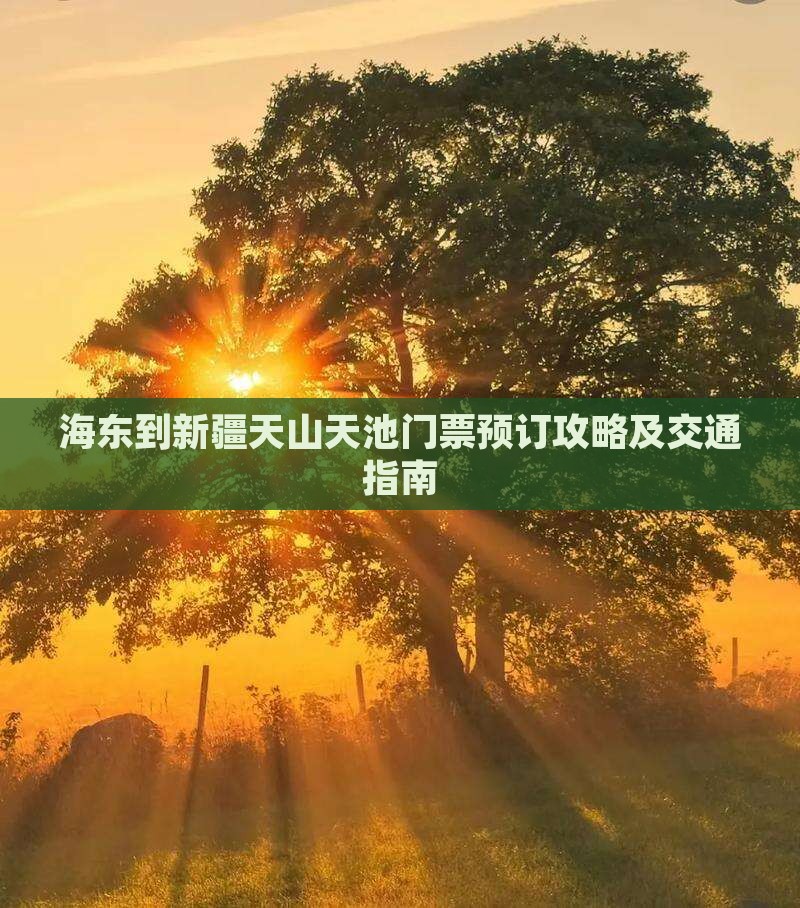 海东到新疆天山天池门票