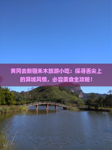 黄冈去新疆禾木旅游小吃