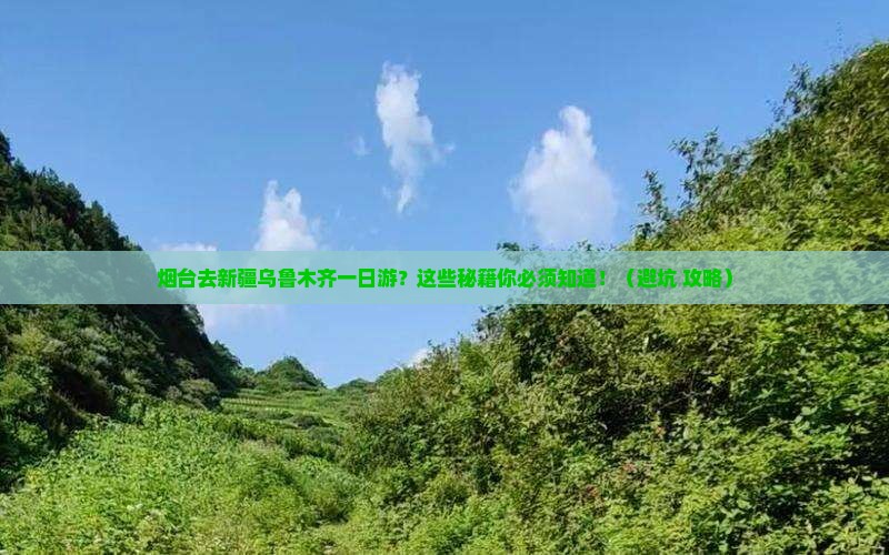 烟台去新疆乌鲁木齐一日
