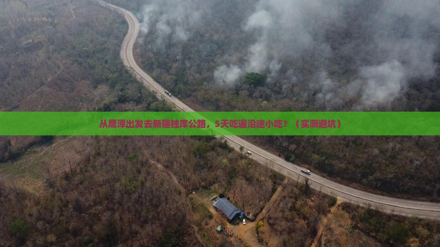 鹰潭去新疆独库公路旅游小吃