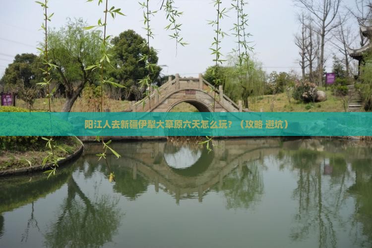 阳江去新疆伊犁大草原六日游