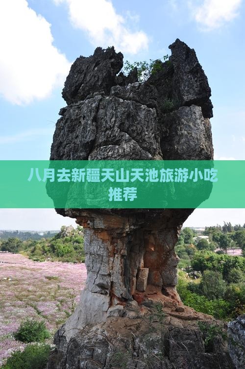 八月去新疆天山天池旅游小吃