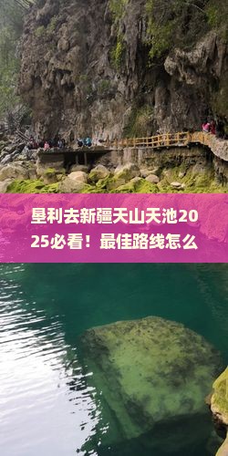 垦利去新疆天山天池哪里玩