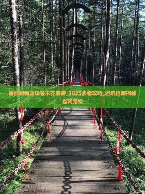 昌都到新疆乌鲁木齐旅游