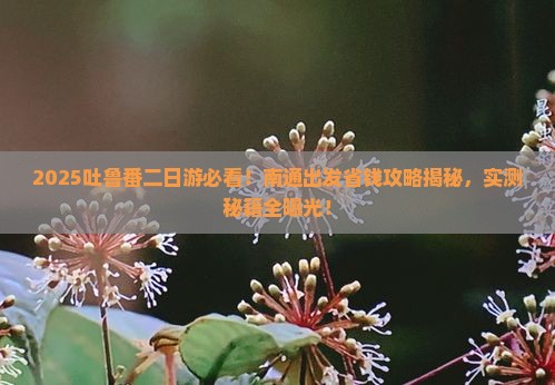 南通到新疆吐鲁番二日游