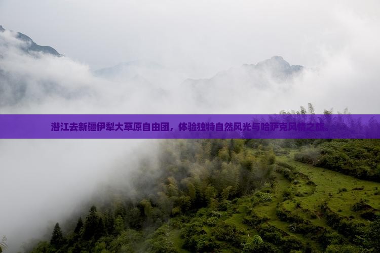 潜江去新疆伊犁大草原自由团