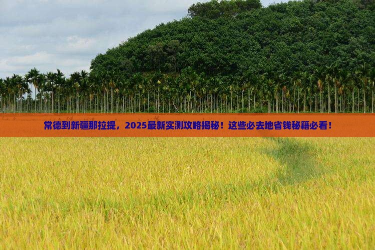 常德到新疆那拉提必去地