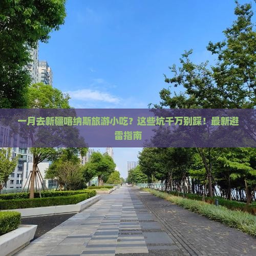 一月去新疆喀纳斯旅游小吃