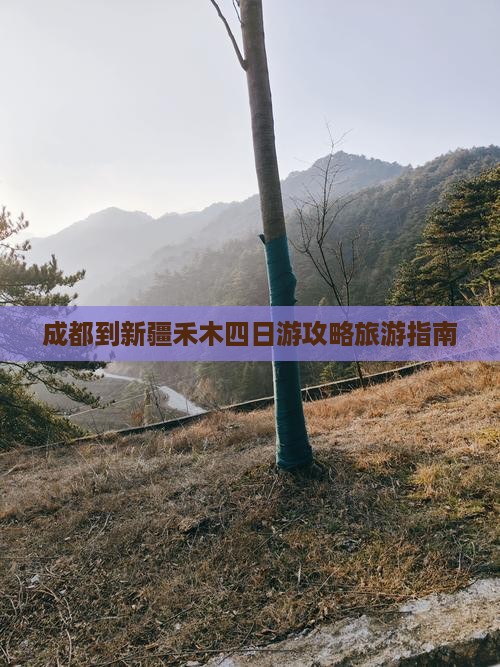成都到新疆禾木四日游