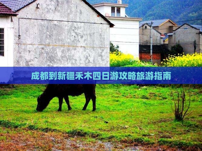 成都到新疆禾木四日游