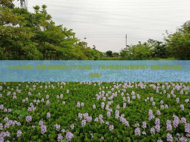 昌都去新疆独山子大峡谷旅行社