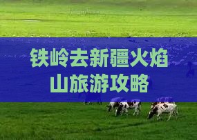 铁岭去新疆火焰山门票